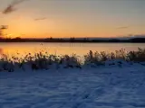 winter landscape
