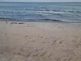 beach in Marielyst