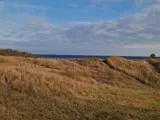 beach in Marielyst